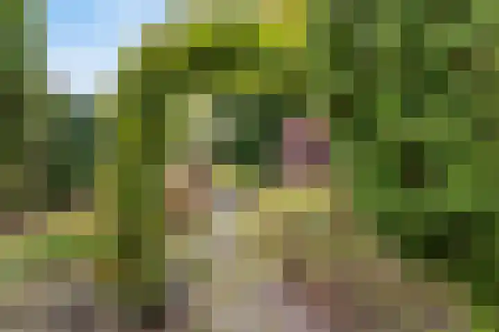 Rembrandtlaan 11 Naarden thumbnail 40
