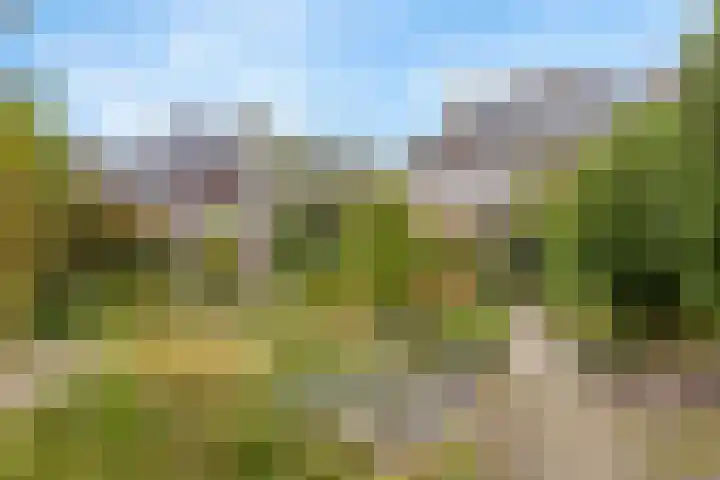 Rembrandtlaan 11 Naarden thumbnail 41