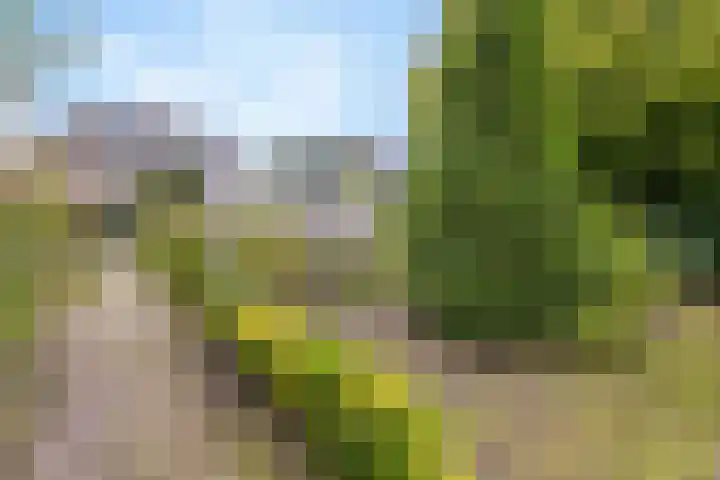 Rembrandtlaan 11 Naarden thumbnail 42