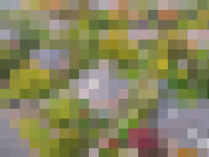 Rembrandtlaan 11 Naarden thumbnail 43