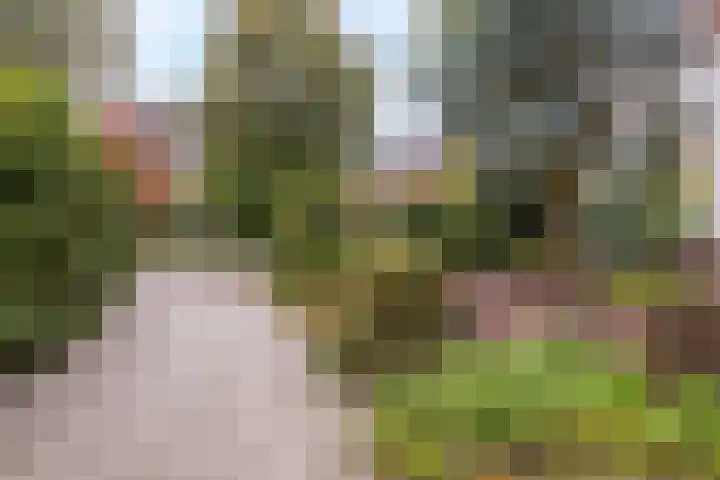 Rembrandtlaan 11 Naarden thumbnail 7