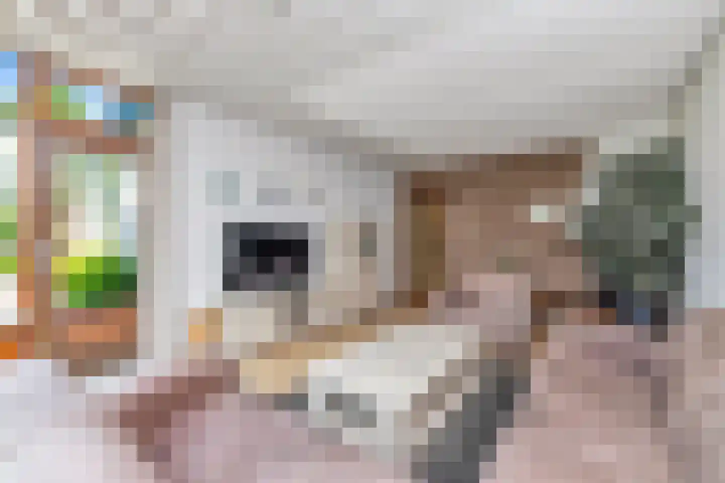 Rembrandtlaan 11 Sint Maartensvlotbrug thumbnail 20