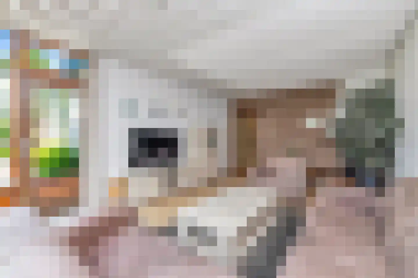Rembrandtlaan 11 Sint Maartensvlotbrug thumbnail 20