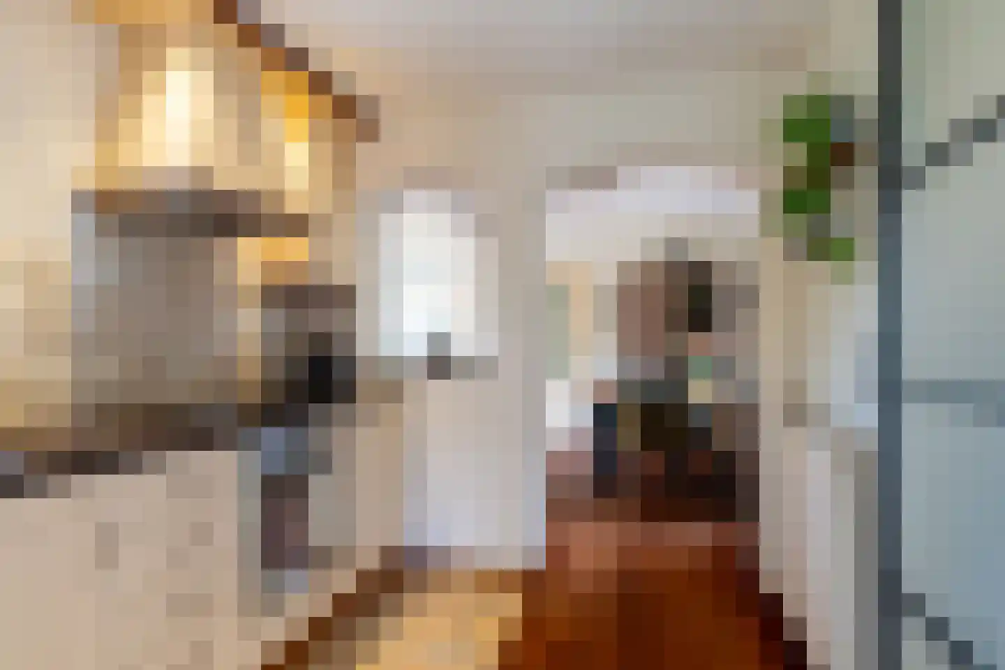 Rembrandtlaan 11 Sprang-Capelle thumbnail 10