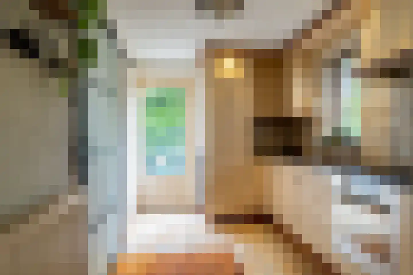 Rembrandtlaan 11 Sprang-Capelle thumbnail 11
