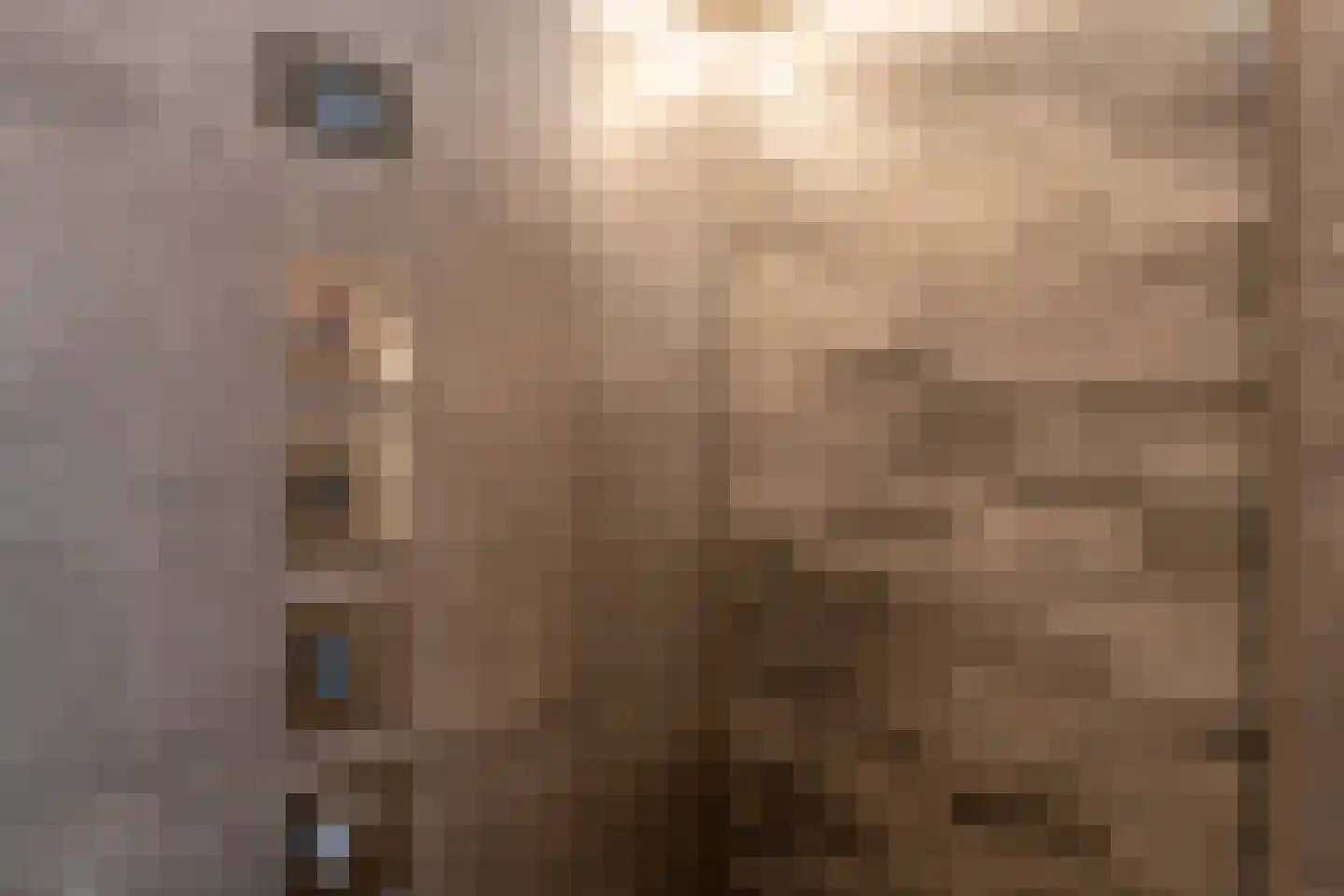 Rembrandtlaan 11 Sprang-Capelle thumbnail 14