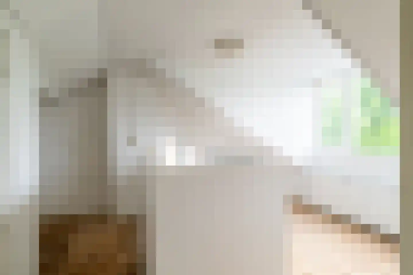 Rembrandtlaan 11 Sprang-Capelle thumbnail 22