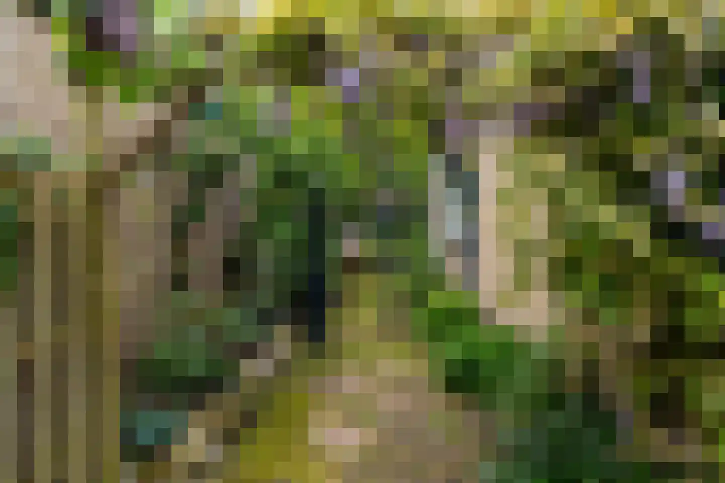 Rembrandtlaan 11 Sprang-Capelle thumbnail 27