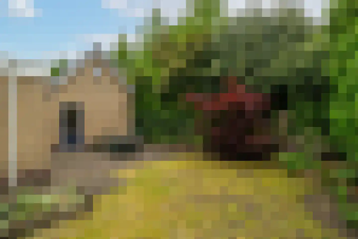 Rembrandtlaan 11 Sprang-Capelle thumbnail 30