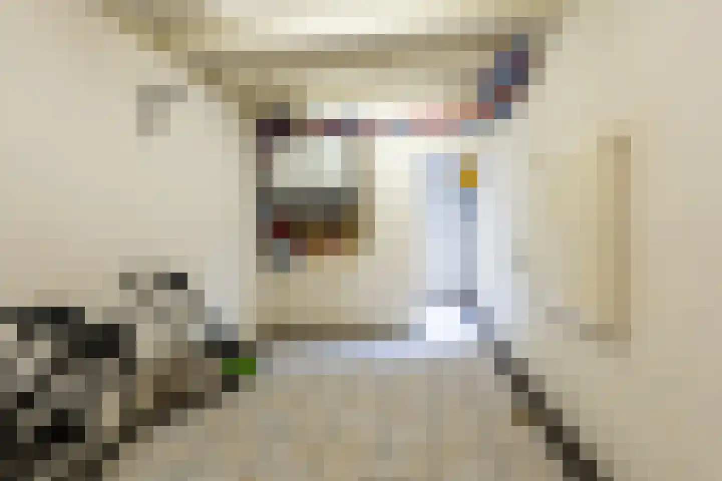 Rembrandtlaan 11 Sprang-Capelle thumbnail 33