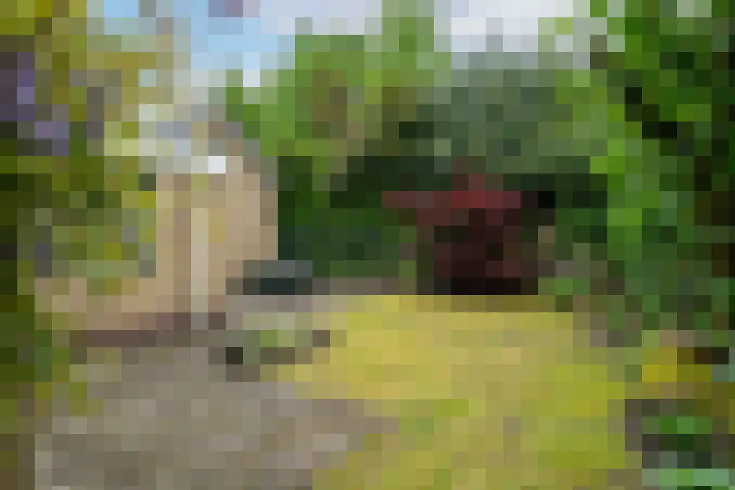 Rembrandtlaan 11 Sprang-Capelle thumbnail 34