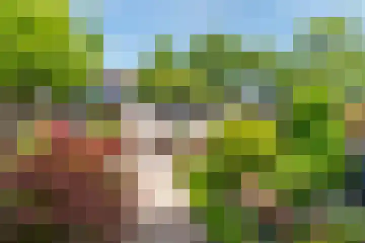 Rembrandtlaan 112 Woerden thumbnail 14