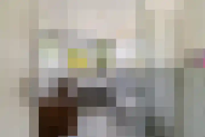 Rembrandtlaan 112 Woerden thumbnail 23