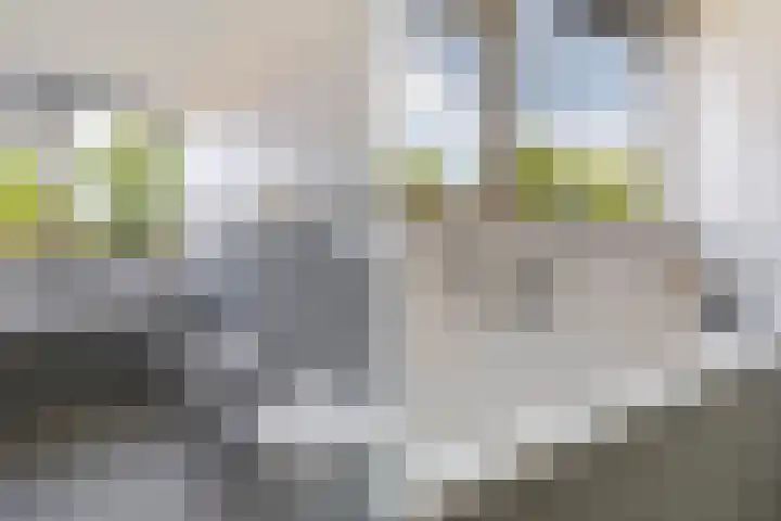 Rembrandtlaan 112 Woerden thumbnail 24