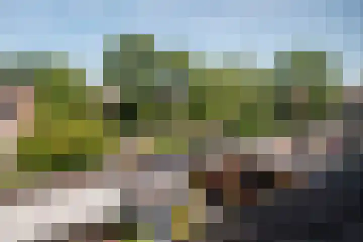 Rembrandtlaan 112 Woerden thumbnail 32