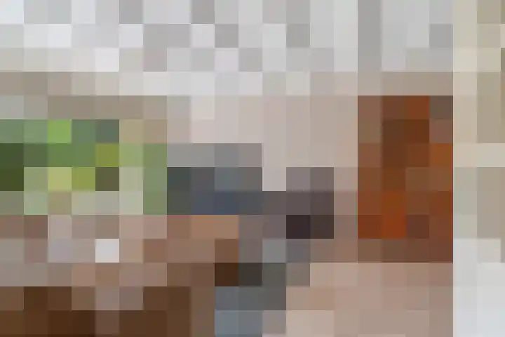 Rembrandtlaan 112 Woerden thumbnail 7