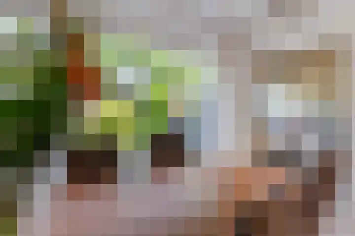 Rembrandtlaan 112 Woerden thumbnail 9
