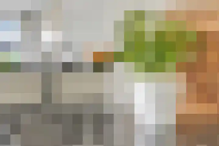 Rembrandtlaan 116 Woerden thumbnail 13