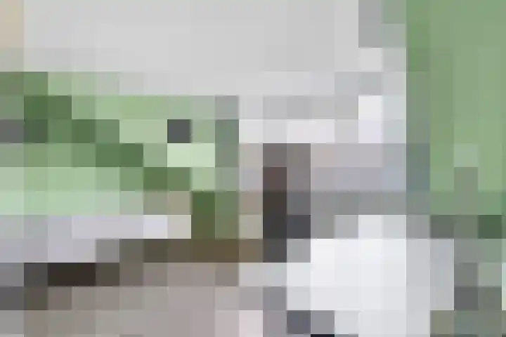 Rembrandtlaan 116 Woerden thumbnail 32