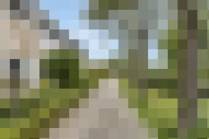 Rembrandtlaan 116 Woerden thumbnail 38