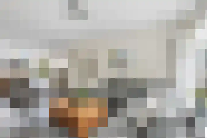 Rembrandtlaan 116 Woerden thumbnail 6