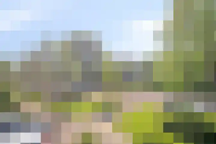 Rembrandtlaan 118 Woerden thumbnail 14