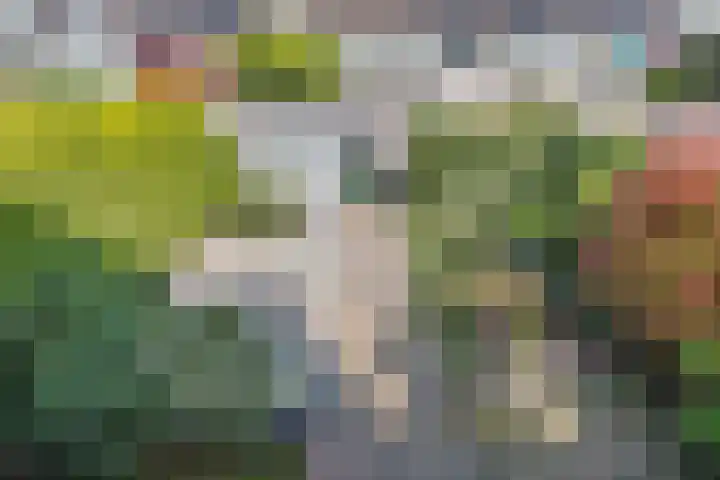 Rembrandtlaan 118 Woerden thumbnail 17