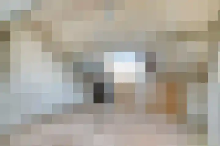 Rembrandtlaan 118 Woerden thumbnail 23