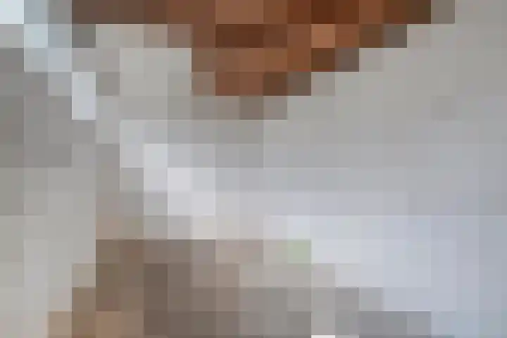 Rembrandtlaan 118 Woerden thumbnail 27