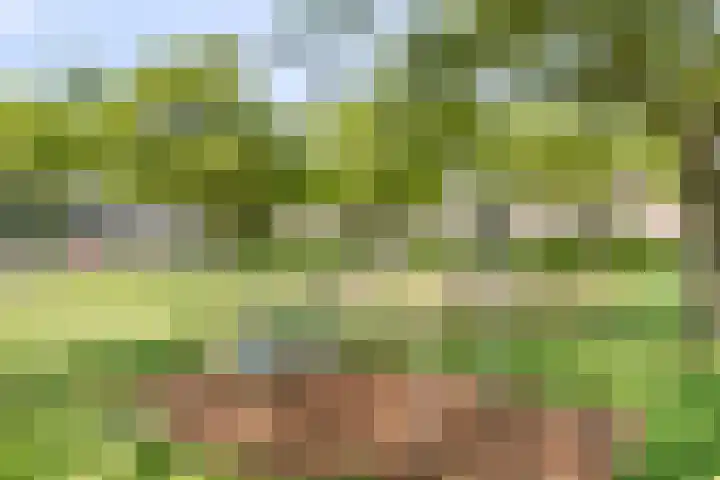 Rembrandtlaan 118 Woerden thumbnail 29