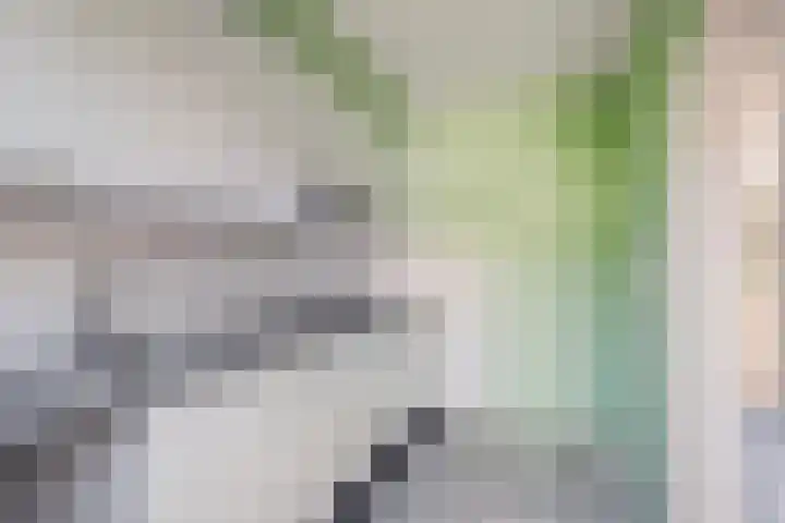 Rembrandtlaan 118 Woerden thumbnail 8