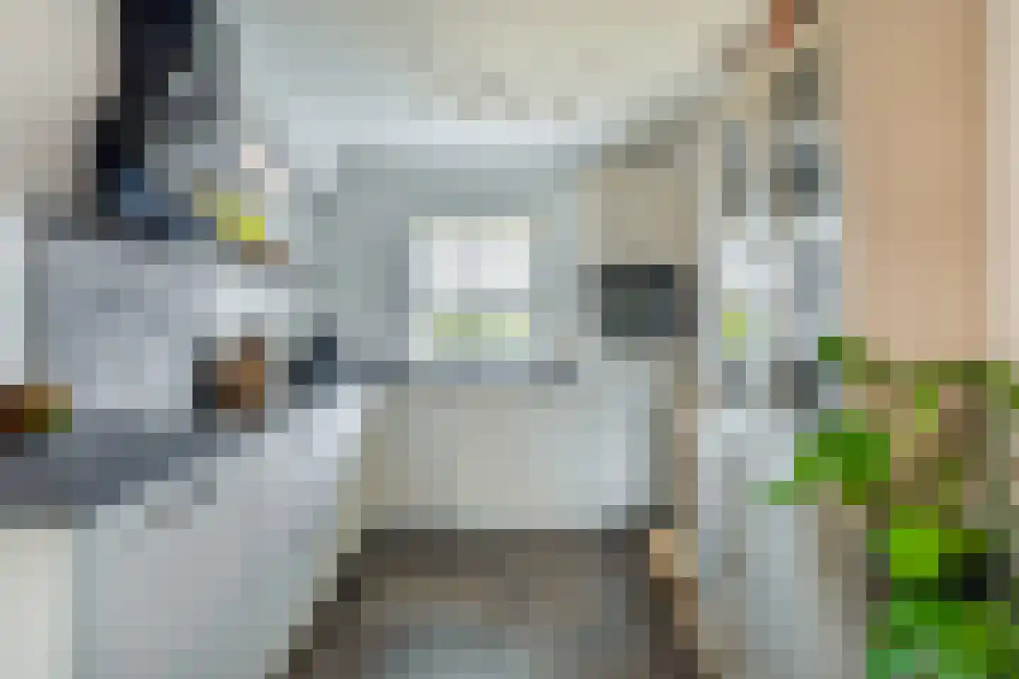 Rembrandtlaan 12 Bergschenhoek thumbnail 18