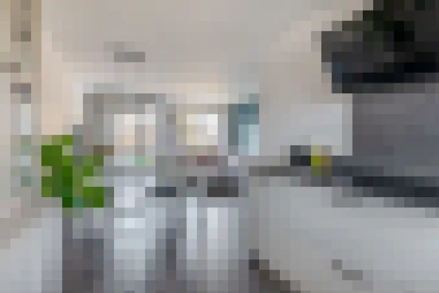 Rembrandtlaan 12 Bergschenhoek thumbnail 19