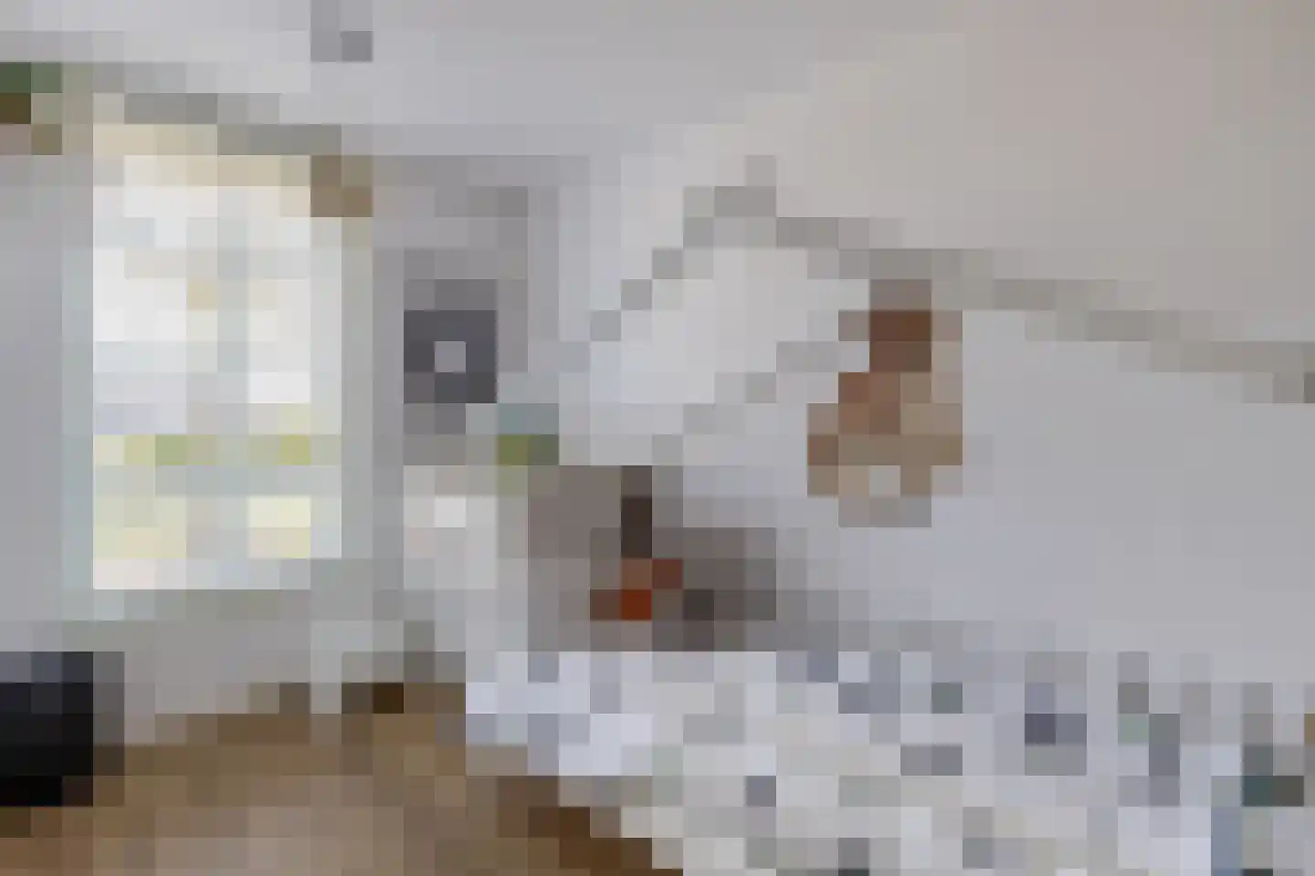 Rembrandtlaan 12 Bergschenhoek thumbnail 31