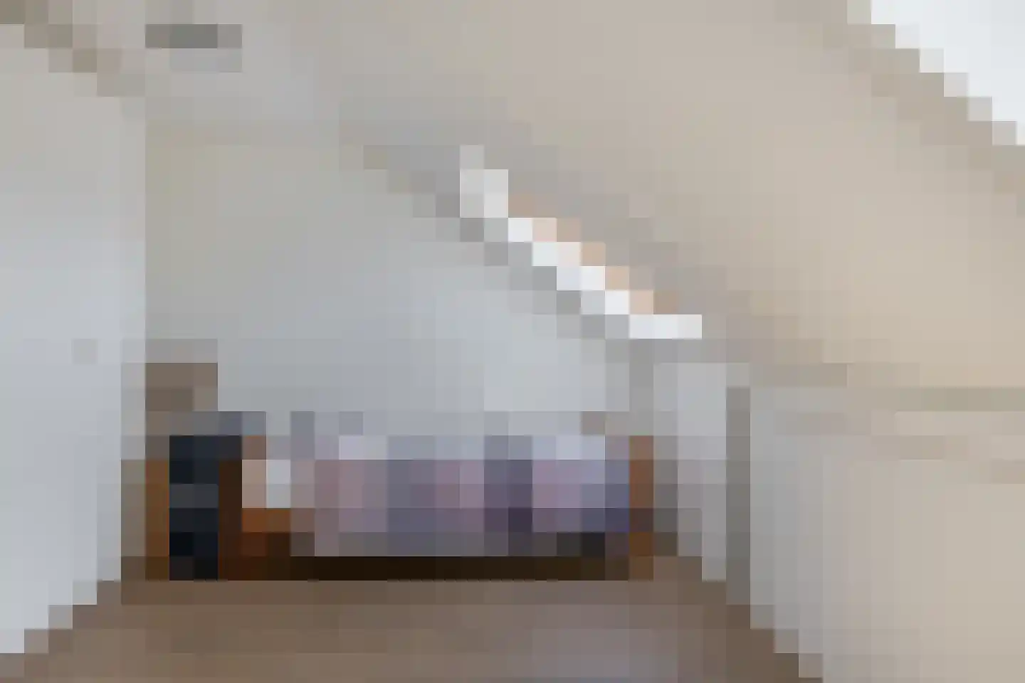Rembrandtlaan 12 Bergschenhoek thumbnail 32