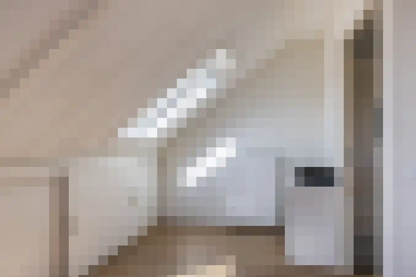Rembrandtlaan 12 Bergschenhoek thumbnail 33