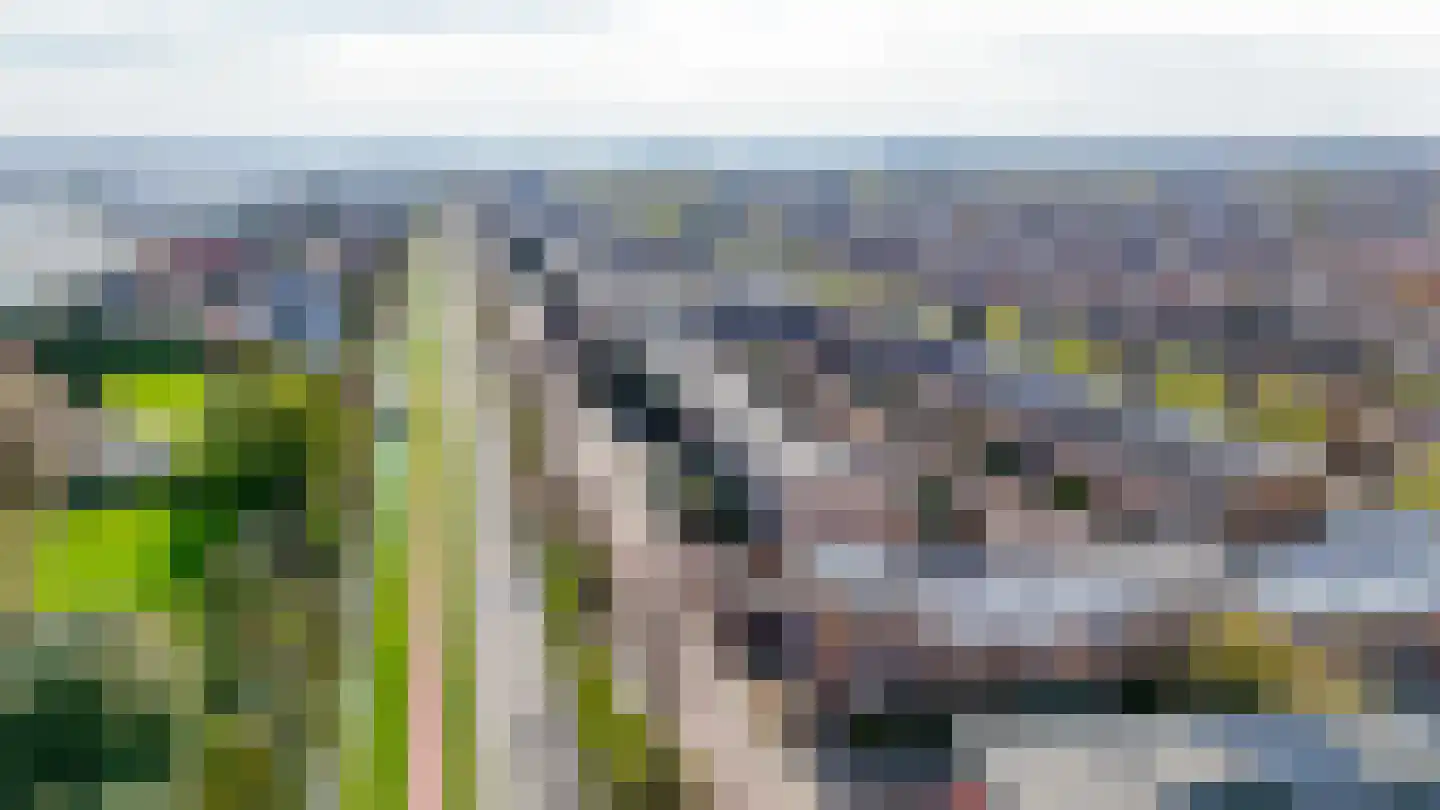 Rembrandtlaan 12 Bergschenhoek thumbnail 38