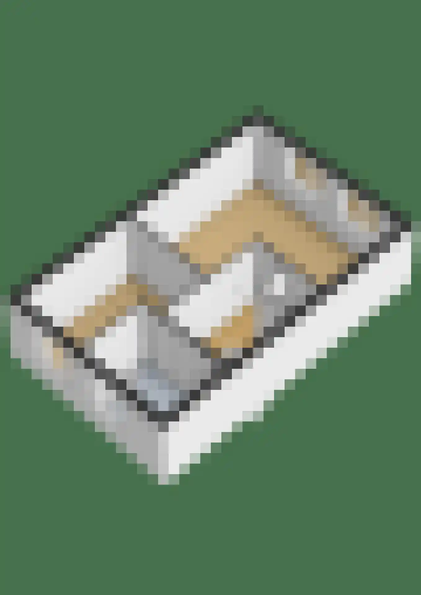 Rembrandtlaan 12 Bergschenhoek thumbnail 44