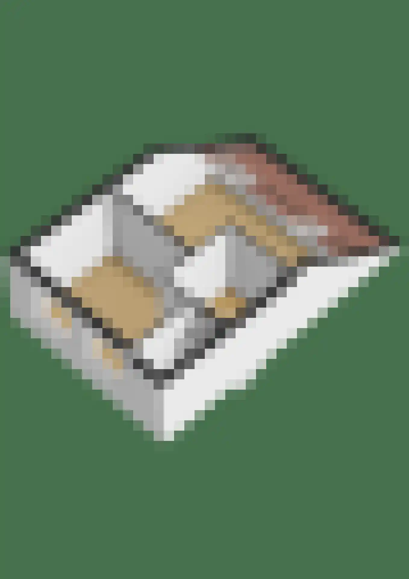 Rembrandtlaan 12 Bergschenhoek thumbnail 48