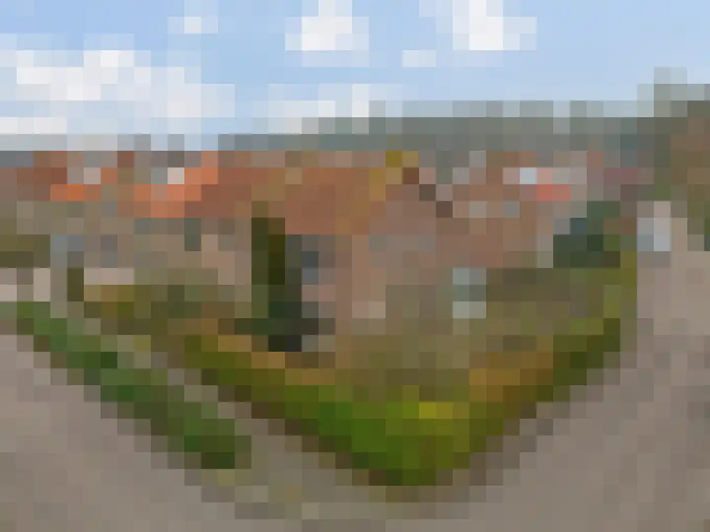 Rembrandtlaan 12 Loosdrecht