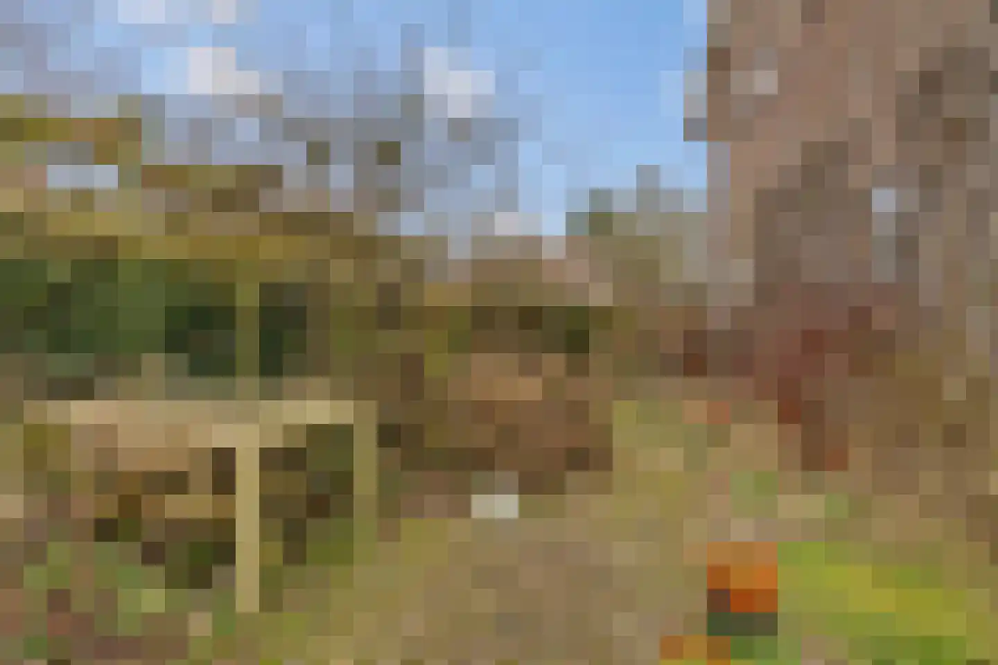 Rembrandtlaan 12 Loosdrecht thumbnail 23