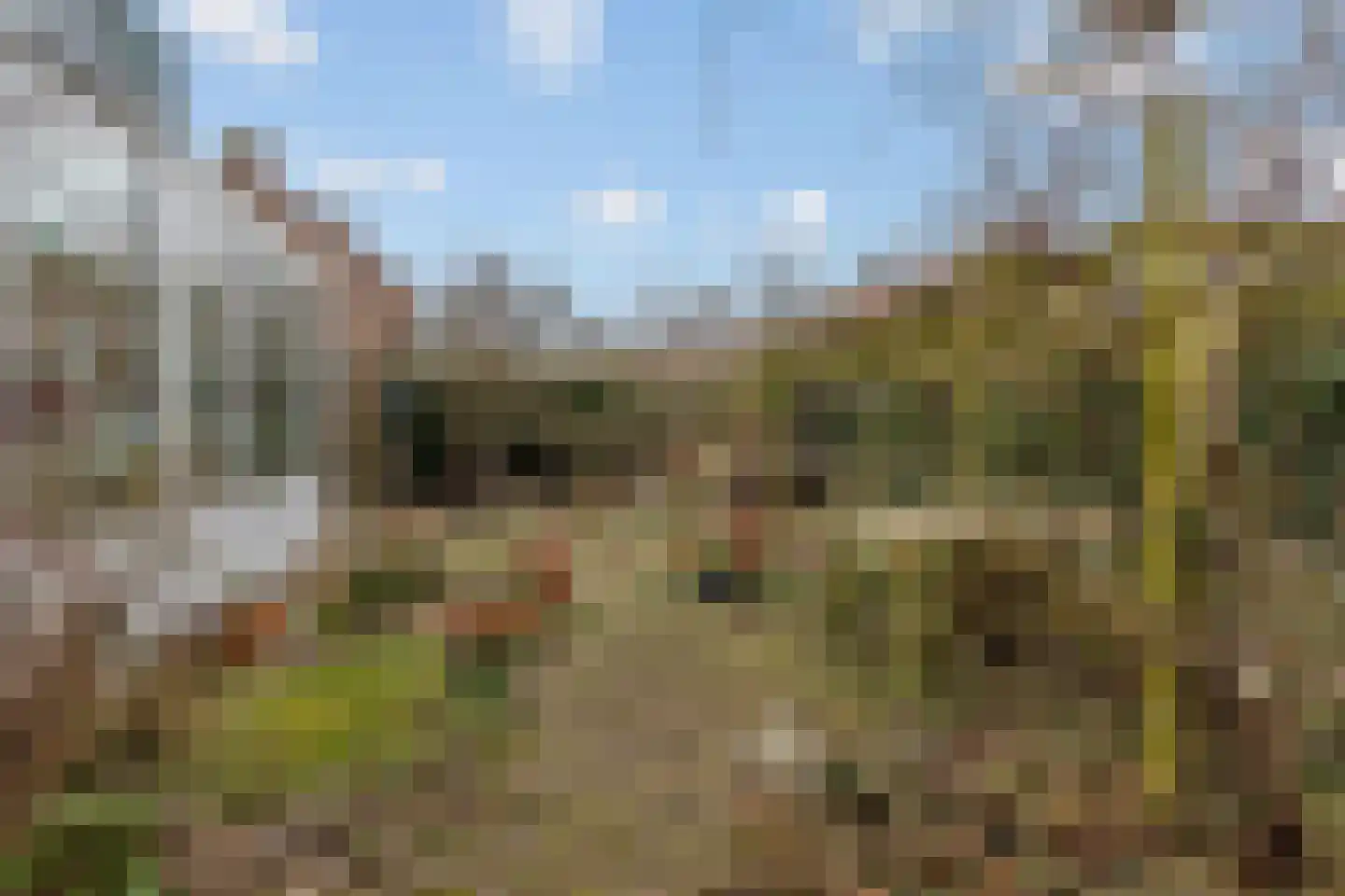 Rembrandtlaan 12 Loosdrecht thumbnail 25