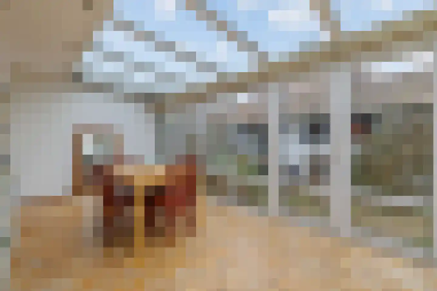 Rembrandtlaan 12 Loosdrecht thumbnail 9