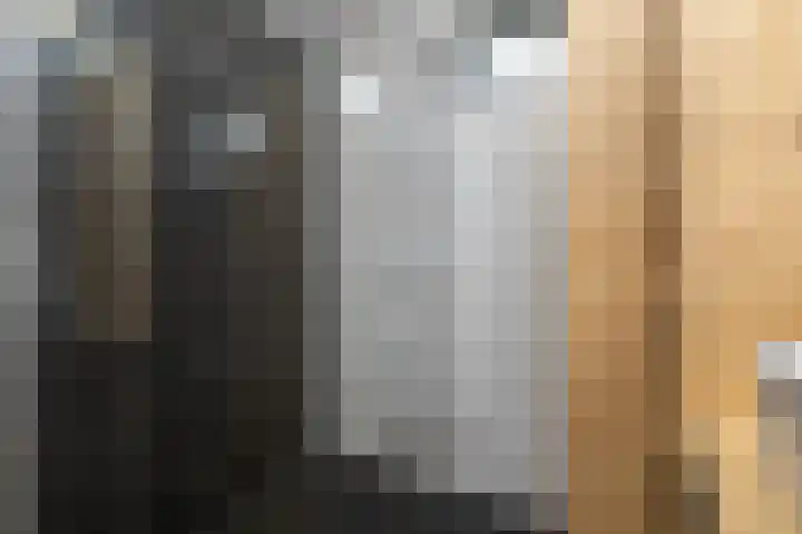 Rembrandtlaan 120 Middelharnis thumbnail 16