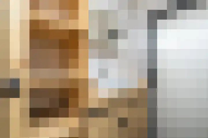 Rembrandtlaan 120 Middelharnis thumbnail 17