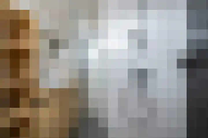 Rembrandtlaan 120 Middelharnis thumbnail 18
