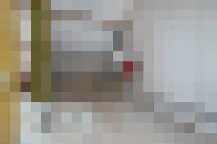 Rembrandtlaan 120 Middelharnis thumbnail 19