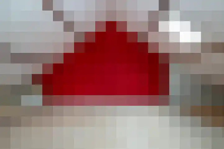 Rembrandtlaan 120 Middelharnis thumbnail 20