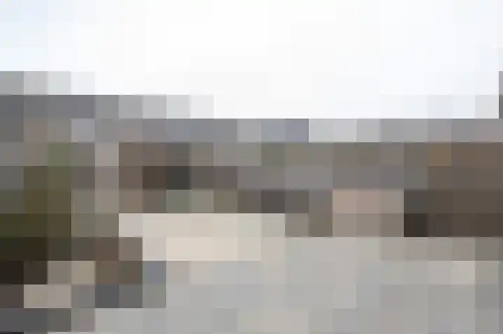 Rembrandtlaan 120 Middelharnis thumbnail 24