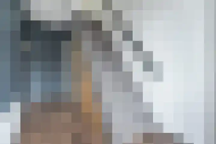 Rembrandtlaan 120 Middelharnis thumbnail 5